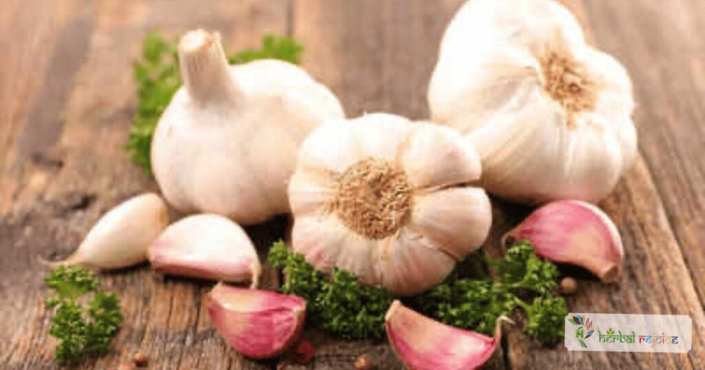 Garlic or lehsun as carminative, aphrodisiac, expectorant, anthelmintic, antibacterial, antioxidant. Lowers blood pressure, cholesterol levels hence treats atherosclerosis
