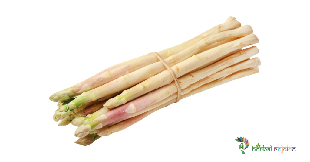 Scientific name : Asparagus racemosus Common name : Shatavari Uses : milk production, bleeding disorders, heals ulcers