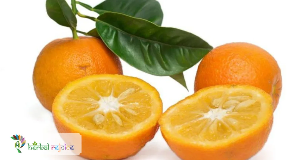 scientific name : Citrus aurantium common name : sour orange uses : weight loss, appetite stimulation or suppression and athletic performance.