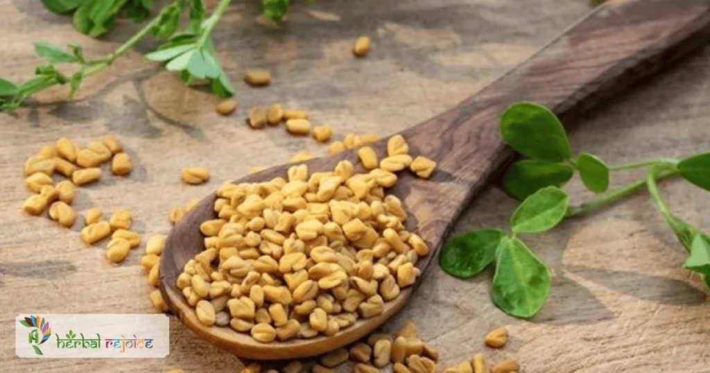 Fenugreek (Trigonella foenum-graecum Linn.) is a plant widely cultivated in many parts of India. Fenugreek seeds have been traditionally used for their medicinal properties. They are known to be effective in treating loss of appetite, flatulence, dyspepsia, colic, diarrhea, dysentery, and enlargement of the liver and spleen. They are also used as a galactagogue and puerperal tonic.   Names and Habitat Of Fenugreek It has various names in different traditional systems of medicine. In Ayurveda, it is known as Methikaa, Methi, Vastikaa, Selu, Methini, Dipani, Bahupatrikaa, Bodhaini, and Gandhaphala. In Unani medicine, it is called Hulbaa and Methi, and in Siddha/Tamil medicine, it is known as Vendhayam. Traditional Uses Of Fenugreek Recent research has shown that fenugreek seeds have secretolytic, hyperemic, and mild antiseptic properties. The British Herbal Pharmacopoeia has reported that fenugreek seeds have demulcent and hypoglycemic actions. The European Scientific Cooperative on Phytotherapy (ESCOP) and the World Health Organization (WHO) have also listed fenugreek seeds as a recommended adjuvant therapy for diabetes mellitus, anorexia, and hypercholesterolemia. Chemical Constituents Of Fenugreek Fenugreek seeds contain various bioactive compounds, including alkaloids such as trigonelline, gentianine, and carpaine. They also contain saponins, mainly based on the sapogenins diosgenin, yamogenin, gitogenin, and tigogenin. Flavonoids like vitexin and its glycosides and esters, as well as luteolin, can also be found in fenugreek seeds. Additionally, fenugreek seeds contain a small amount of volatile oil. The mucilage in fenugreek seeds is mostly composed of a galactomannan. Key Components Of Fenugreek One of the notable compounds found in fenugreek seeds is 4-hydroxyisoleucine, which makes up about 80% of the total content of free amino acids in the seeds. This compound has been found to directly stimulate insulin production. Fenugreek seeds also contain fenugreekine, a C-steroidal sapogenin peptide ester that exhibits hypoglycemic activity. Saponin-rich extracts from fenugreek seeds have been shown to reduce blood levels of cholesterol, while the fibrous fraction of the seeds can lower blood lipids. Potential Health Benefits The aqueous extract of fenugreek seeds has demulcent properties and has been shown to promote healing of gastric ulcers in rats. It also has a smooth muscle relaxing effect in rabbits without affecting the heart or blood pressure. Fenugreek has been reported to stimulate the liver microsomal cytochrome P450-dependent aryl hydroxylase and cytochrome b5 in rats, and increased bile secretion has been observed. Fenugreek extract containing trigonelline and trigonellic acid may be used as a hair growth stimulant. Dosage Of Fenugreek The recommended dosage of fenugreek seed powder is 3-5 grams. Frequenty Asked Questions (FAQs) What is fenugreek?Fenugreek is a plant widely cultivated in India with various names in different traditional systems of medicine. What are the names of fenugreek in Ayurveda?In Ayurveda, fenugreek is known as Methikaa, Methi, Vastikaa, Selu, Methini, Dipani, Bahupatrikaa, Bodhaini, and Gandhaphala. What are the medicinal uses of fenugreek seeds?Fenugreek seeds have been used to treat loss of appetite, flatulence, dyspepsia, colic, diarrhea, dysentery, and enlargement of the liver and spleen. They are also used as a galactagogue and puerperal tonic. What are the recent findings about fenugreek seeds?Recent research has shown that fenugreek seeds have secretolytic, hyperemic, and mild antiseptic properties. What actions do fenugreek seeds have according to the British Herbal Pharmacopoeia?According to the British Herbal Pharmacopoeia, fenugreek seeds have demulcent and hypoglycemic actions. What conditions are fenugreek seeds recommended for?The European Scientific Cooperative on Phytotherapy (ESCOP) and the World Health Organization (WHO) recommend fenugreek seeds as an adjuvant therapy for diabetes mellitus, anorexia, and hypercholesterolemia. What are the bioactive compounds found in fenugreek seeds?Fenugreek seeds contain alkaloids, saponins, flavonoids, volatile oils, and a galactomannan mucilage. What are the benefits of 4-hydroxyisoleucine in fenugreek seeds?4-hydroxyisoleucine in fenugreek seeds stimulates insulin production and acts as a hypoglycemic compound. What is fenugreekine and what does it do?Fenugreekine is a C-steroidal sapogenin peptide ester found in fenugreek seeds that exhibits hypoglycemic activity. How can fenugreek seeds lower blood cholesterol levels?Saponin-rich extracts from fenugreek seeds have been shown to reduce blood levels of cholesterol. What healing properties does the aqueous extract of fenugreek seeds have?The aqueous extract of fenugreek seeds has demulcent properties and promotes healing of gastric ulcers. Does fenugreek have any effects on smooth muscle?Fenugreek has a smooth muscle relaxing effect in rabbits without affecting the heart or blood pressure. How does fenugreek affect the liver?Fenugreek stimulates the liver microsomal cytochrome P450-dependent aryl hydroxylase and cytochrome b5 in rats, and increased bile secretion has been observed. Can fenugreek be used for hair growth?Fenugreek extract containing trigonelline and trigonellic acid may be used as a hair growth stimulant. What is the recommended dosage of fenugreek seed powder?The recommended dosage of fenugreek seed powder is 3-5 grams. Is fenugreek safe to use?Fenugreek is generally considered safe when used in moderate amounts. However, it may cause allergic reactions in some individuals. Can fenugreek interact with medications?Fenugreek can interact with certain medications, such as anticoagulants and antiplatelet drugs, due to its blood-thinning properties. Are there any side effects of fenugreek?Some people may experience gastrointestinal discomfort, diarrhea, or a maple syrup-like odor in their urine when consuming fenugreek. Can fenugreek be used during pregnancy or breastfeeding?It's best to consult with a healthcare professional before using fenugreek during pregnancy or breastfeeding, as its safety during these stages is not well-established. Where can I purchase fenugreek seeds?Fenugreek seeds can be found at health food stores, specialty spice shops, and online retailers.