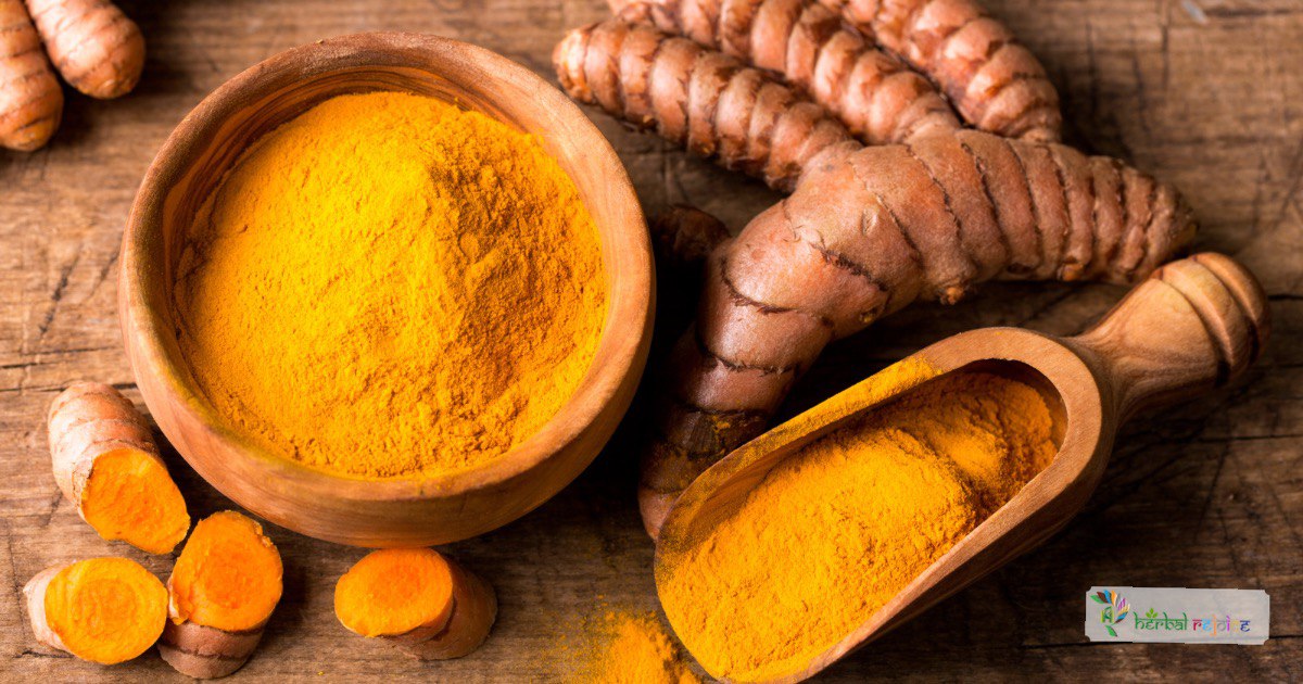 scientific name : Curcuma longacommon name : turmeric
uses : antiseptic, antibacterial, relief from stress, alcohol, and drug-induced ulcer formation.