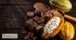 scientific name : theobroma cacao
common name : cocoa
uses :  liver, kidney ailments, diabetes management, as a general tonic, and an astringent for diarrhea.